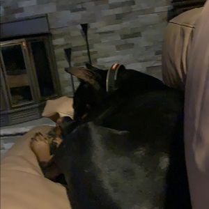 Meet your Posher, Lindsey